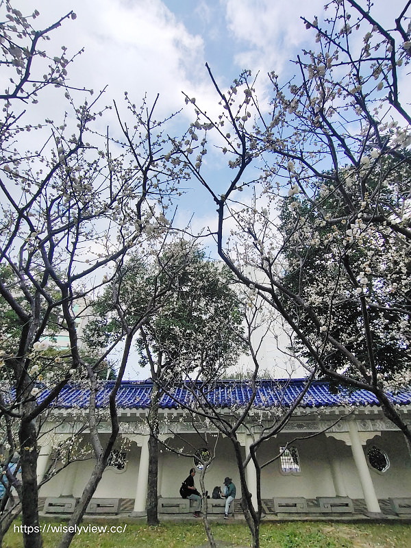 台北景點。中正紀念堂梅園︱宮粉梅、果梅、純香梅花，賞花期一月中至二月初～手機相機拍攝分享