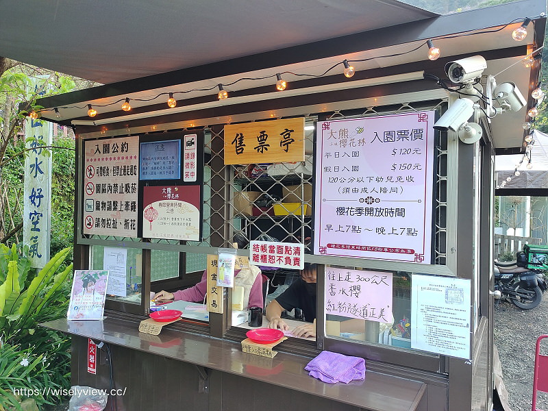 新北櫻花景點。三峽大熊櫻花林（粉紅櫻花隧道）︱夜櫻照片分享：香水櫻、福爾摩沙櫻、台灣八重櫻