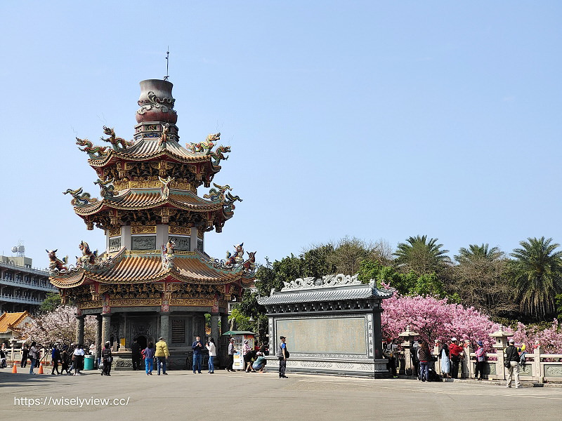 新北賞櫻景點。林口竹林山觀音寺︱粉紅吉野櫻綻放