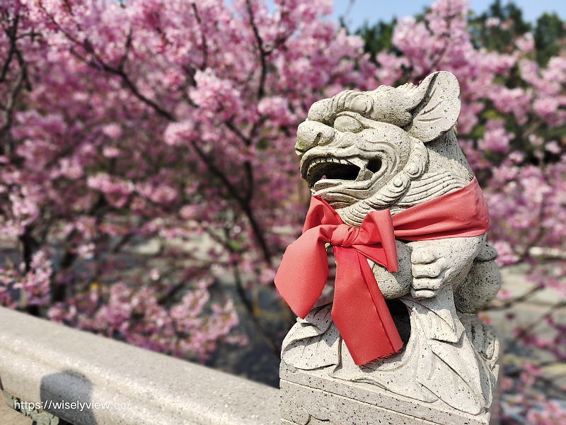 新北賞櫻景點。林口竹林山觀音寺︱粉紅吉野櫻綻放
