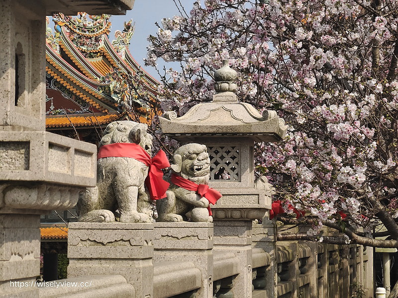 新北賞櫻景點。林口竹林山觀音寺︱粉紅吉野櫻綻放