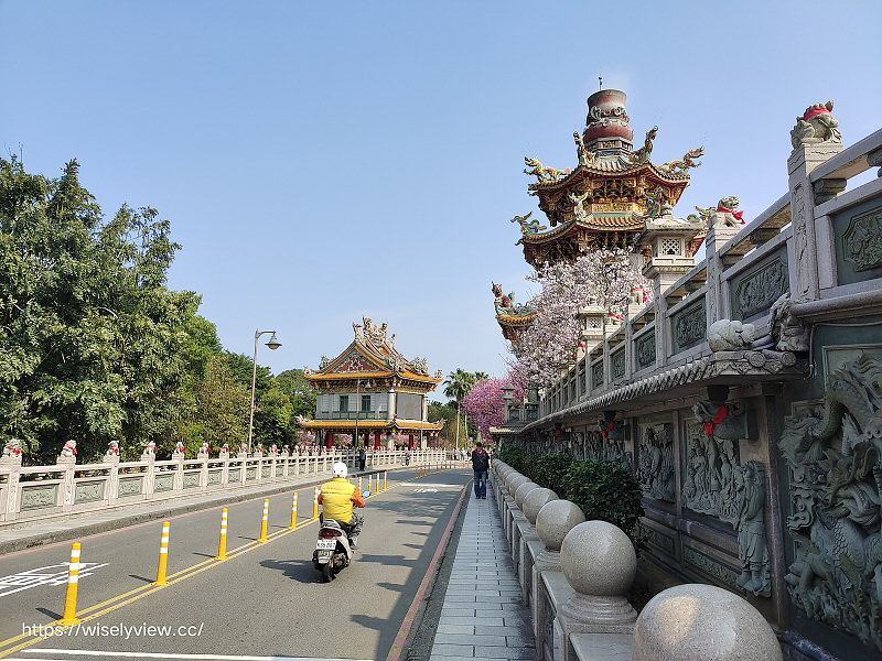 新北賞櫻景點。林口竹林山觀音寺︱粉紅吉野櫻綻放