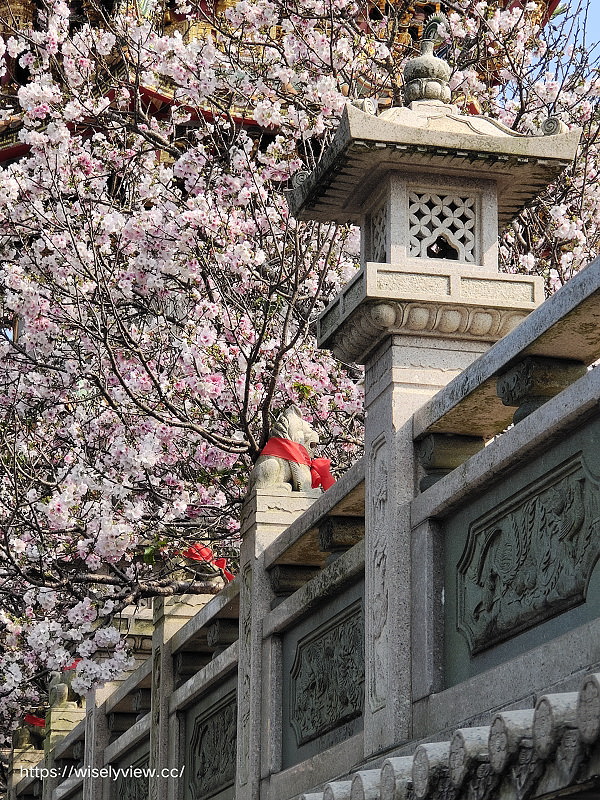 新北賞櫻景點。林口竹林山觀音寺︱粉紅吉野櫻綻放