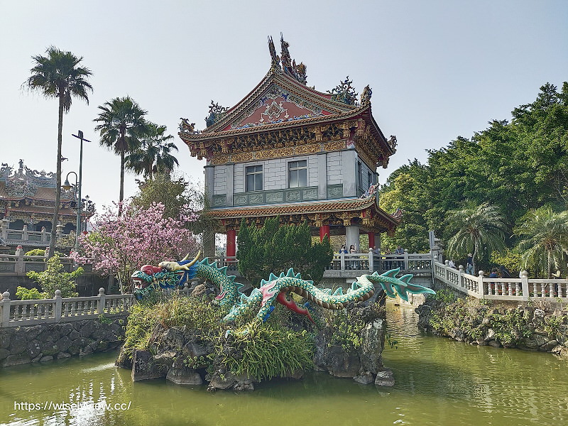 新北賞櫻景點。林口竹林山觀音寺︱粉紅吉野櫻綻放