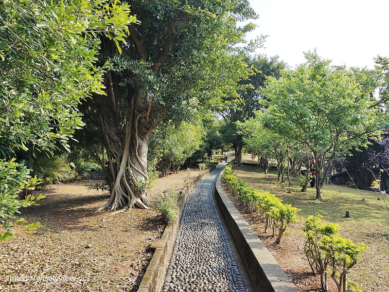 新北賞櫻景點。林口竹林山觀音寺︱粉紅吉野櫻綻放