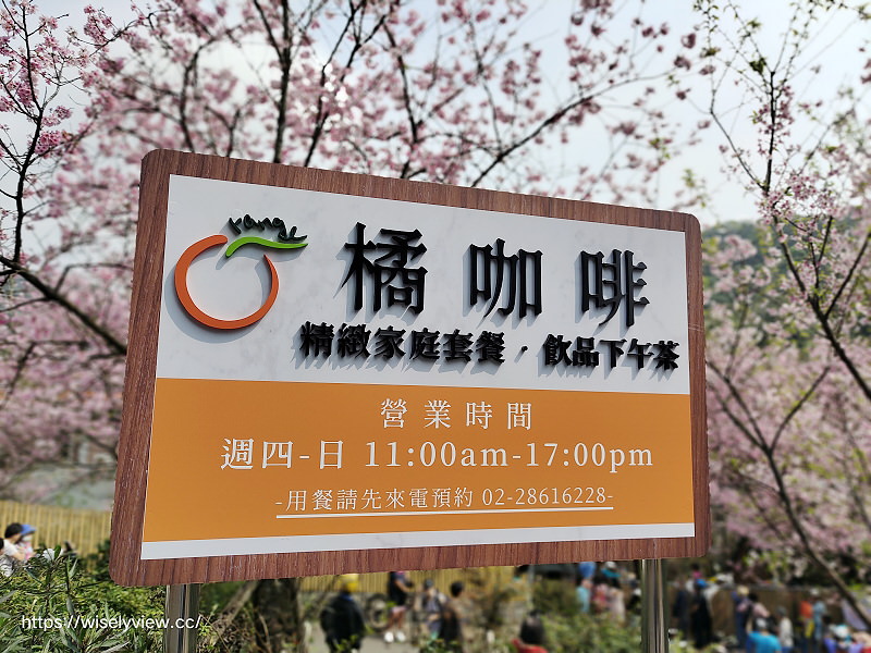 內厝溪 櫻木花廊。橘咖啡︱陽明山平等里賞櫻景點