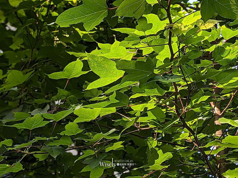 Google Pixel 7a 開箱實拍分享︱針對拍照為主打的中階平價手機 Google Pixel 7a 開箱實拍分享︱針對拍照為主打的中階平價手機