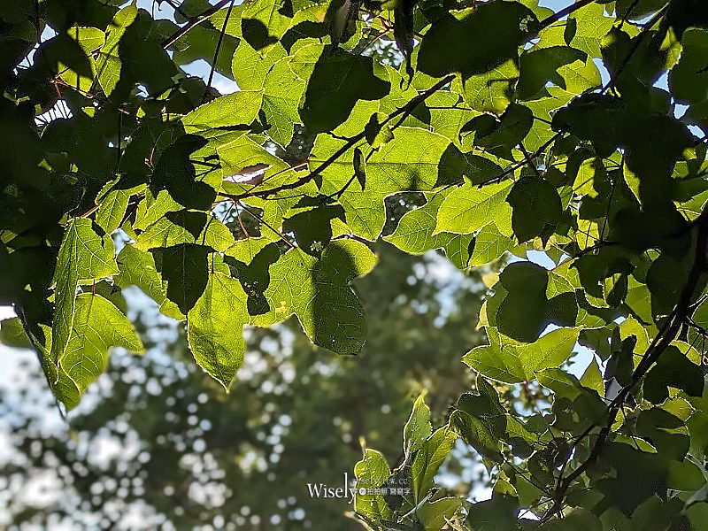 Google Pixel 7a 開箱實拍分享︱針對拍照為主打的中階平價手機 Google Pixel 7a 開箱實拍分享︱針對拍照為主打的中階平價手機