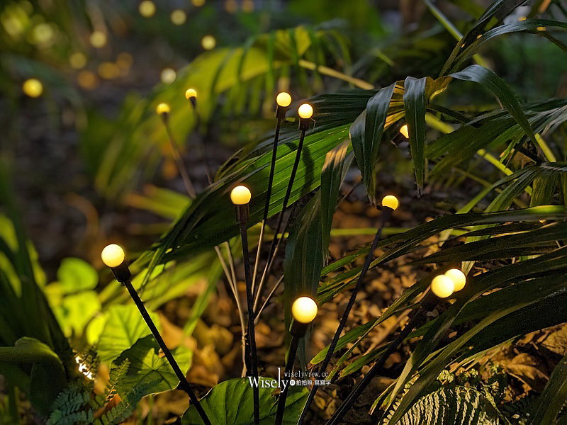 Google Pixel 7a 開箱實拍分享︱針對拍照為主打的中階平價手機 Google Pixel 7a 開箱實拍分享︱針對拍照為主打的中階平價手機