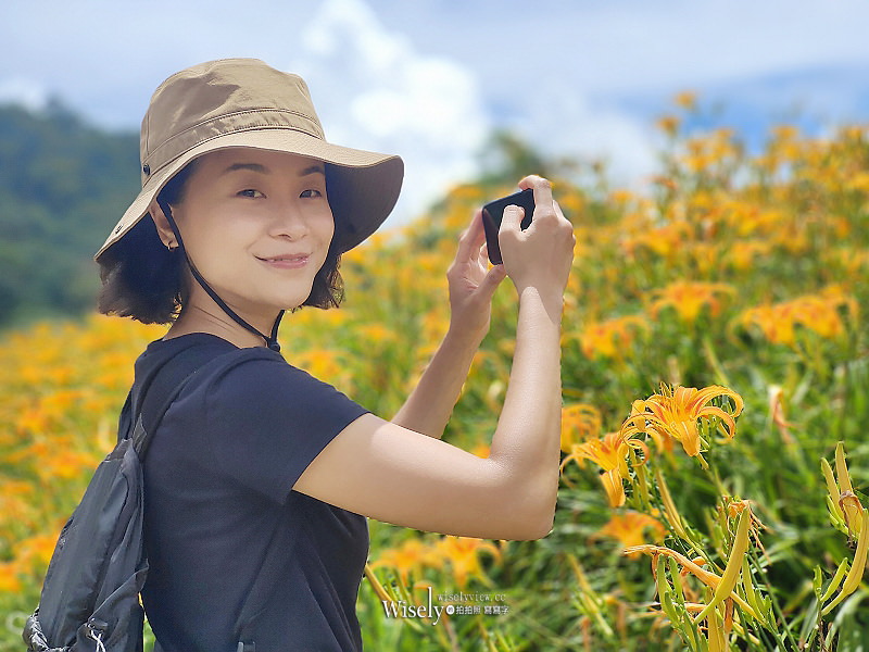 花蓮玉里。赤科山林家園休閒農場︱可露營的大片金針花海及可愛裝置藝術 花蓮玉里。赤科山林家園休閒農場︱可露營的大片金針花海及可愛裝置藝術