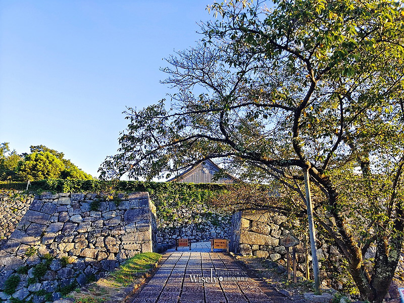 兵庫。篠山城跡大書院︱日本百大名城與百大賞櫻