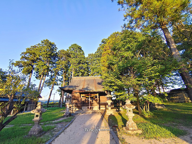 兵庫。篠山城跡大書院︱日本百大名城與百大賞櫻