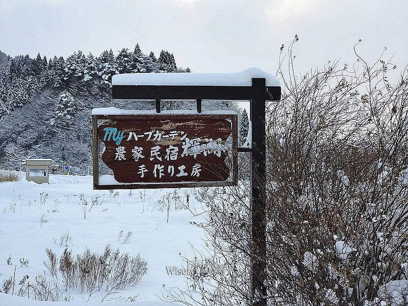 田澤湖。農家民宿 輝湖︱來去日本秋田鄉下住一晚，感受主人家盛情接待，一泊二食台幣2000有找