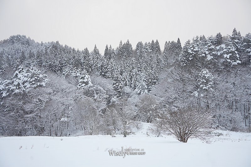 田澤湖。農家民宿 輝湖︱來去日本秋田鄉下住一晚，感受主人家盛情接待，一泊二食台幣2000有找