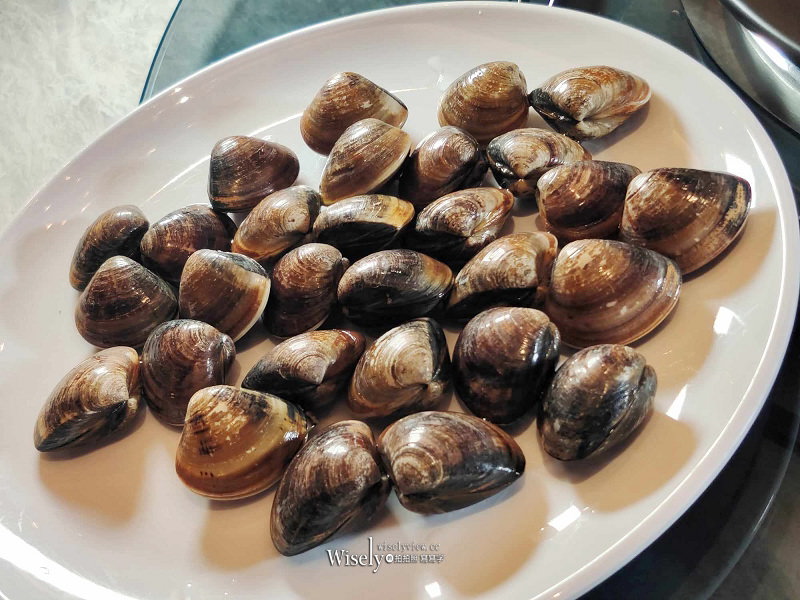 新莊典華。濤濤-海鮮蒸氣鍋︱盡嚐食材新鮮原味與管家式桌邊服務~機場捷運A4新莊副都心站美食 新莊典華。濤濤-海鮮蒸氣鍋︱盡嚐食材新鮮原味與管家式桌邊服務~機場捷運A4新莊副都心站美食