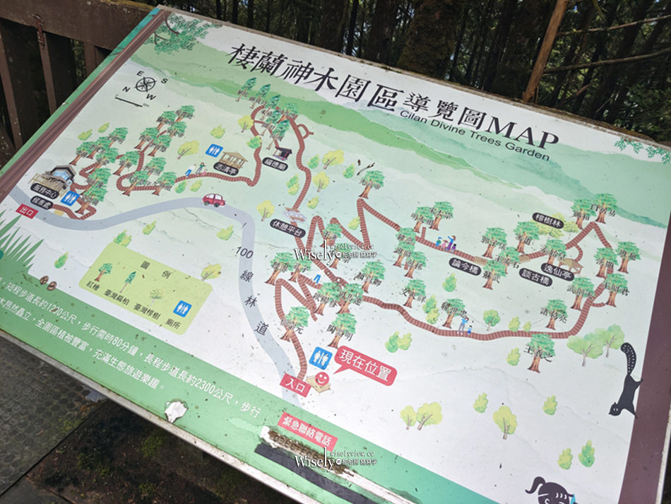 棲蘭神木園區 一日遊懶人包︱預約購票交通接駁設施，此生必訪台灣秘境