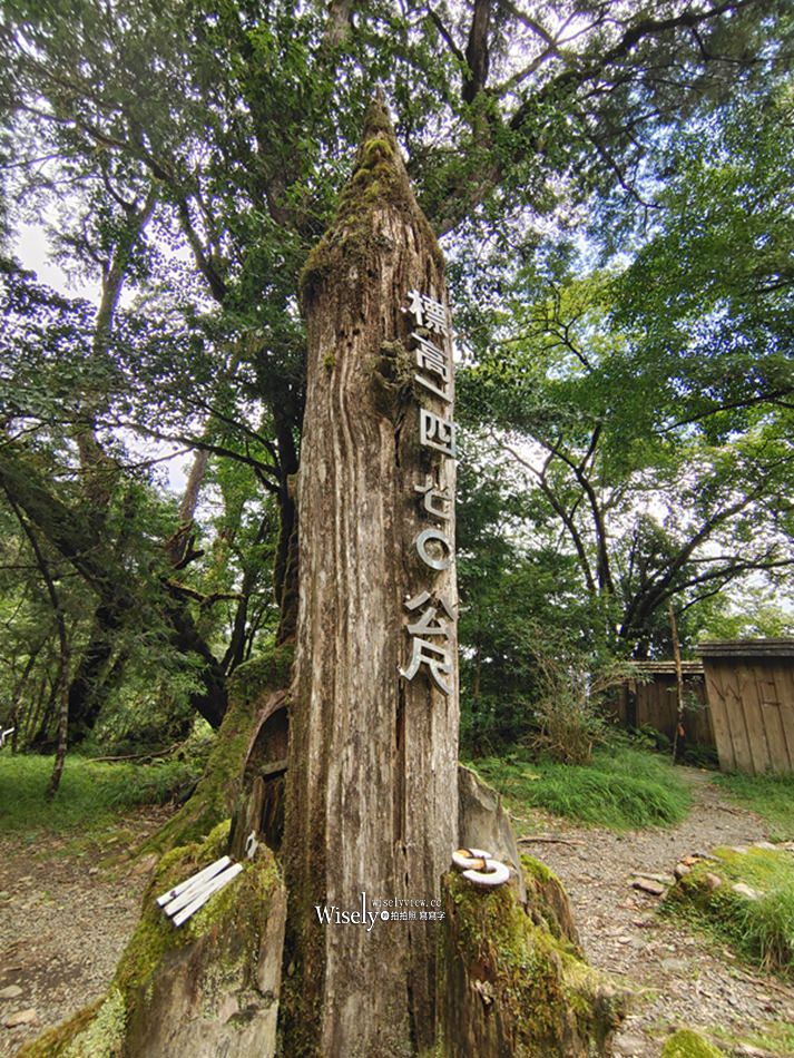 棲蘭神木園區 一日遊懶人包︱預約購票交通接駁設施，此生必訪台灣秘境