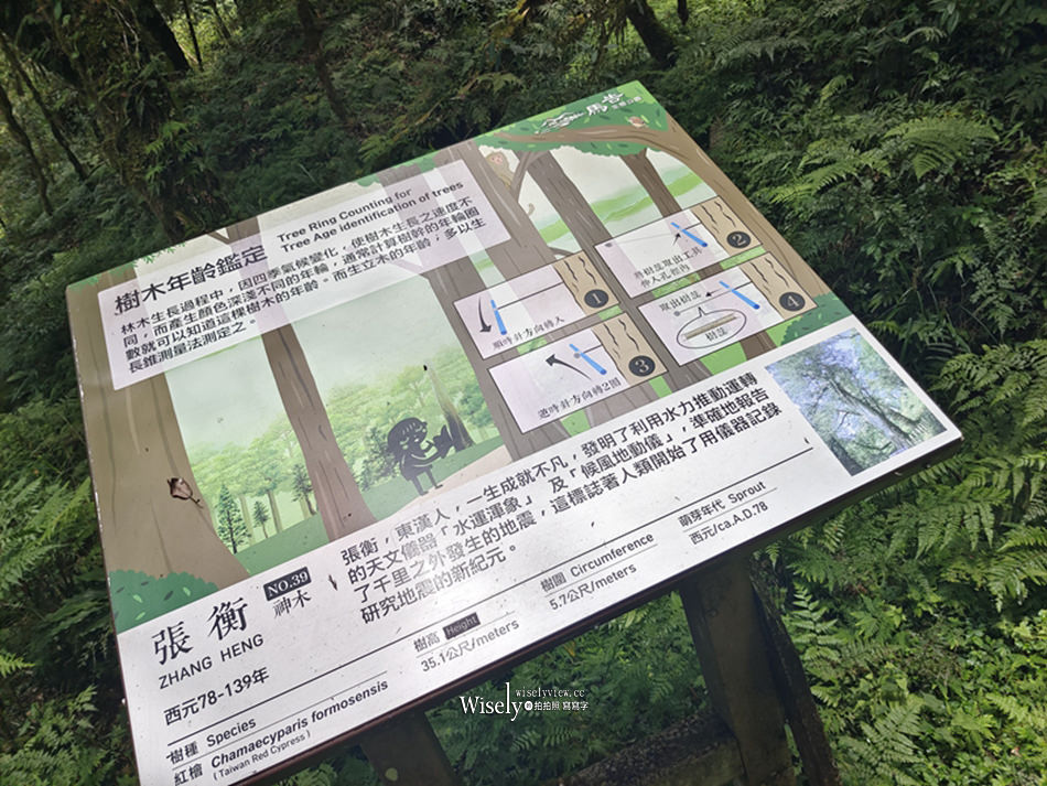 棲蘭神木園區 一日遊懶人包︱預約購票交通接駁設施，此生必訪台灣秘境