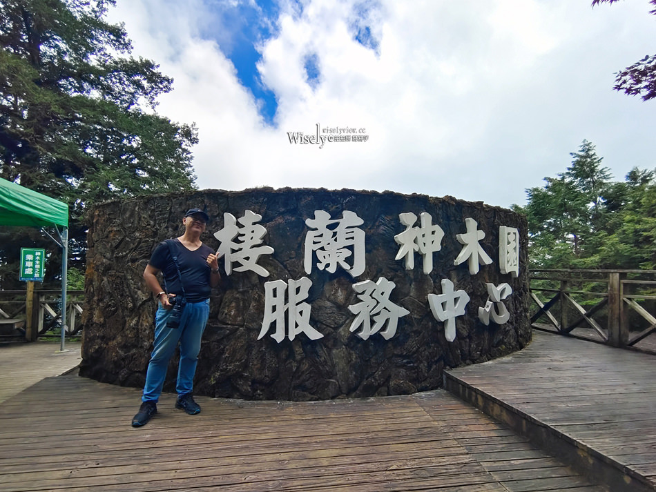 棲蘭神木園區 一日遊懶人包︱預約購票交通接駁設施，此生必訪台灣秘境