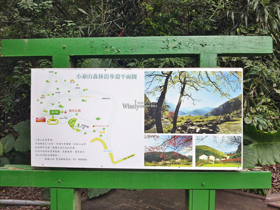 宜蘭大同 棲蘭山莊︱神木之林與小木屋之森，一泊二食分享探訪