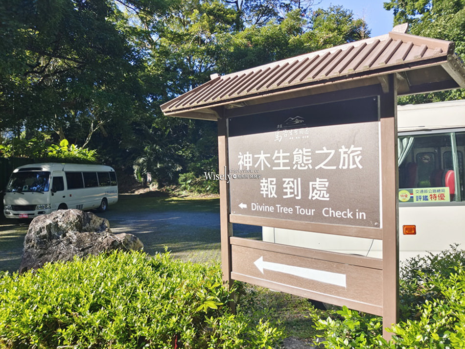 宜蘭大同 棲蘭山莊︱神木之林與小木屋之森，一泊二食分享探訪