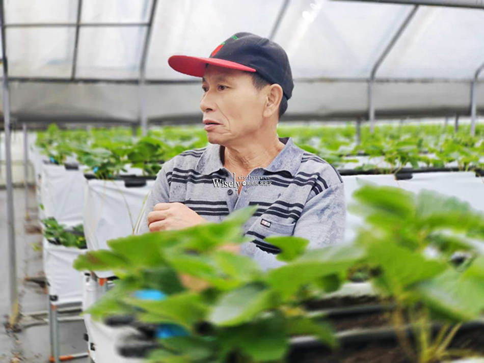 清香休閒農場。小小農夫體驗︱結合校外教學活動，落實食農教育好去處