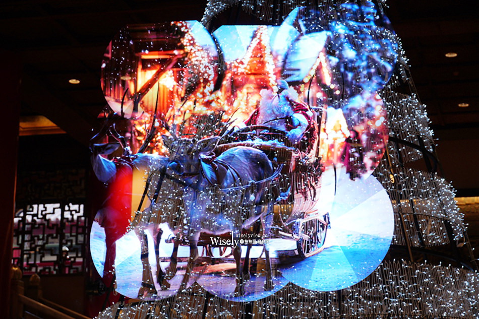 士林官邸菊展2024。菊伴動物派對︱以菊花呈現各氣候動物生態