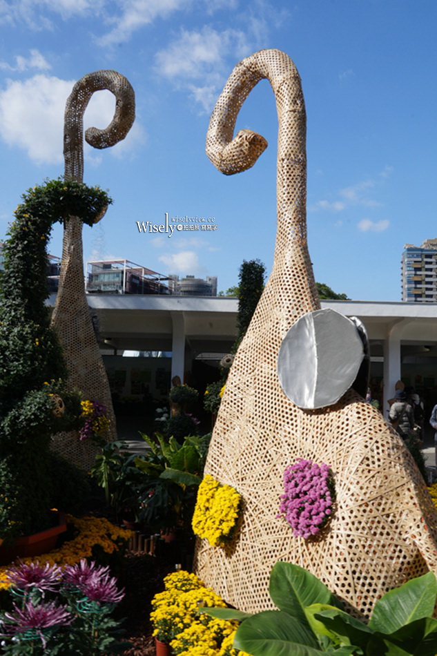 士林官邸菊展2024。菊伴動物派對︱以菊花呈現各氣候動物生態