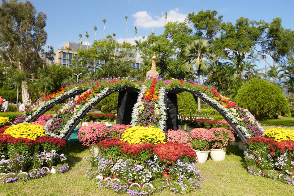 士林官邸菊展2024。菊伴動物派對︱以菊花呈現各氣候動物生態