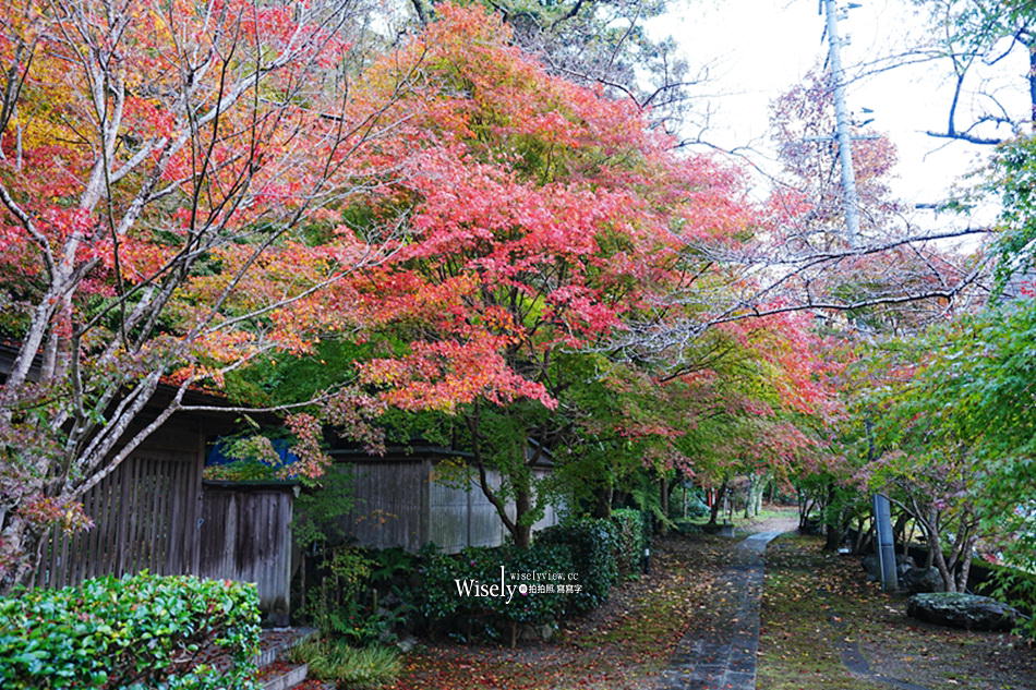 湯原溫泉_砂湯 神隱少女取景地︱岡山真庭賞楓拍照打卡景點
