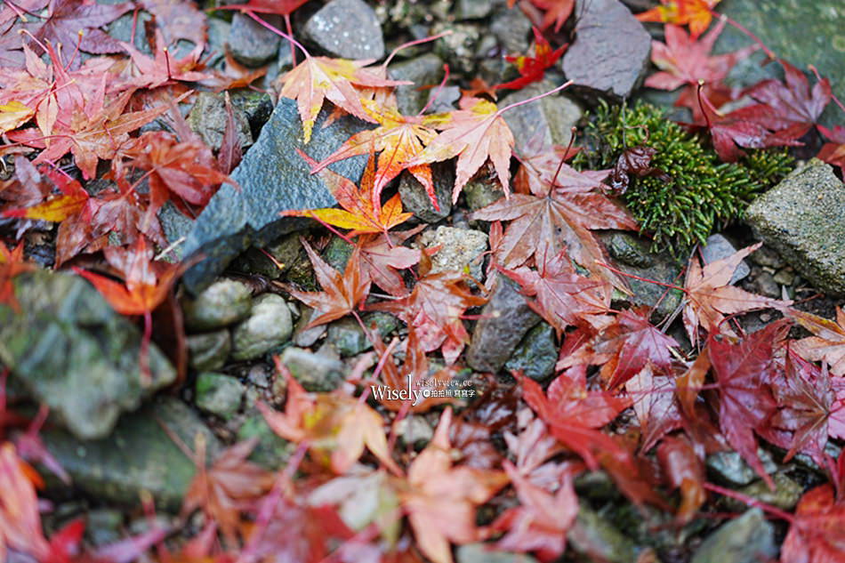 湯原溫泉_砂湯 神隱少女取景地︱岡山真庭賞楓拍照打卡景點