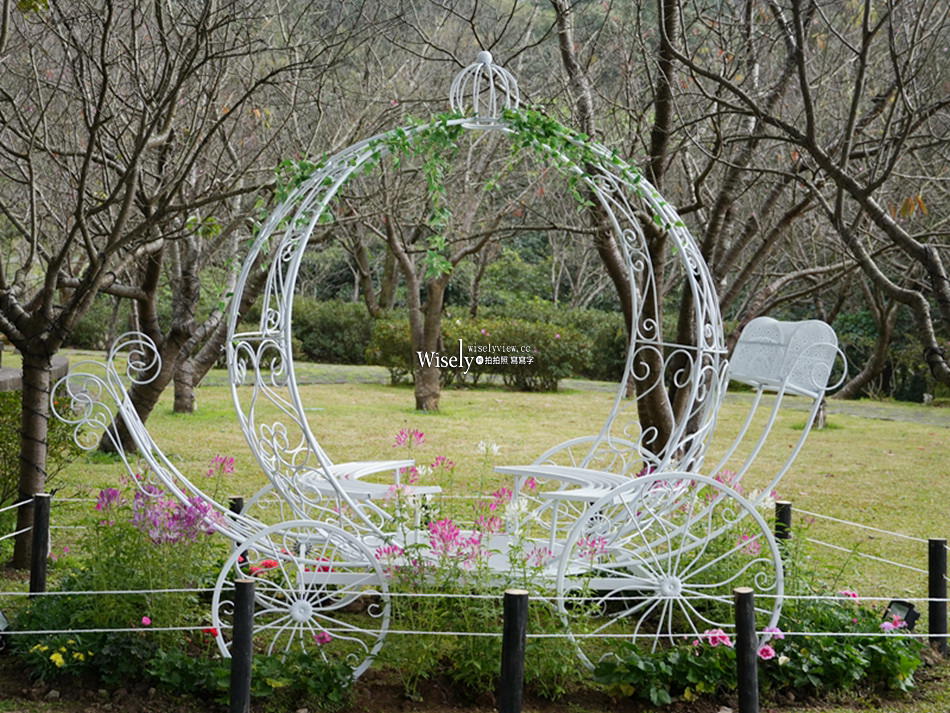 陽明山花季。台北一日遊︱花鐘、草山行館、陽明春天、平菁街櫻花巷