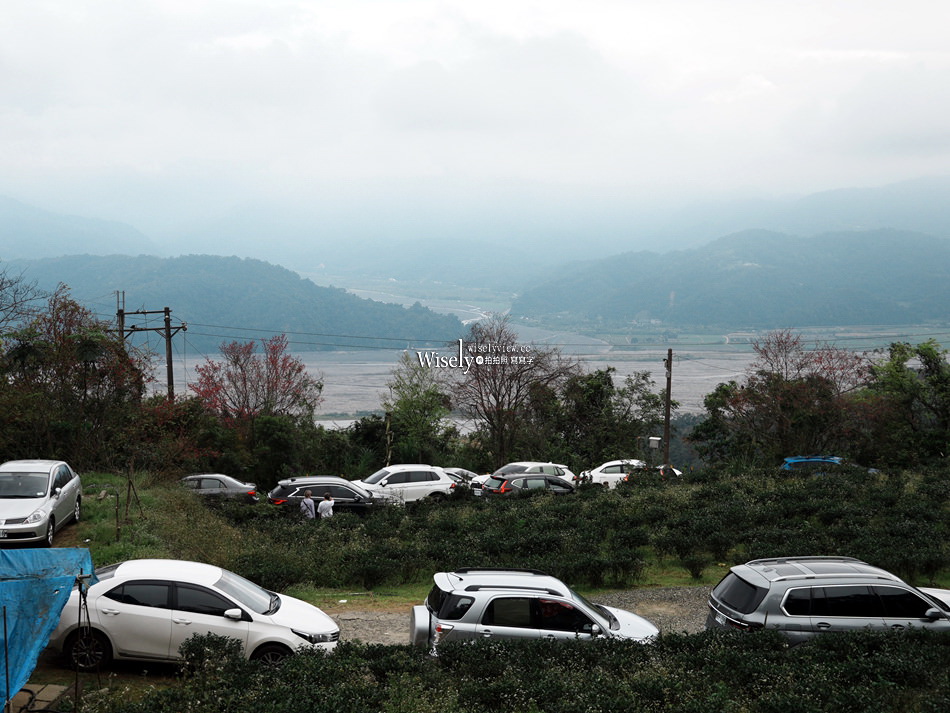 櫻悅景觀渡假別墅︱宜蘭民宿賞櫻景點，大同鄉玉蘭茶園旁櫻花隧道
