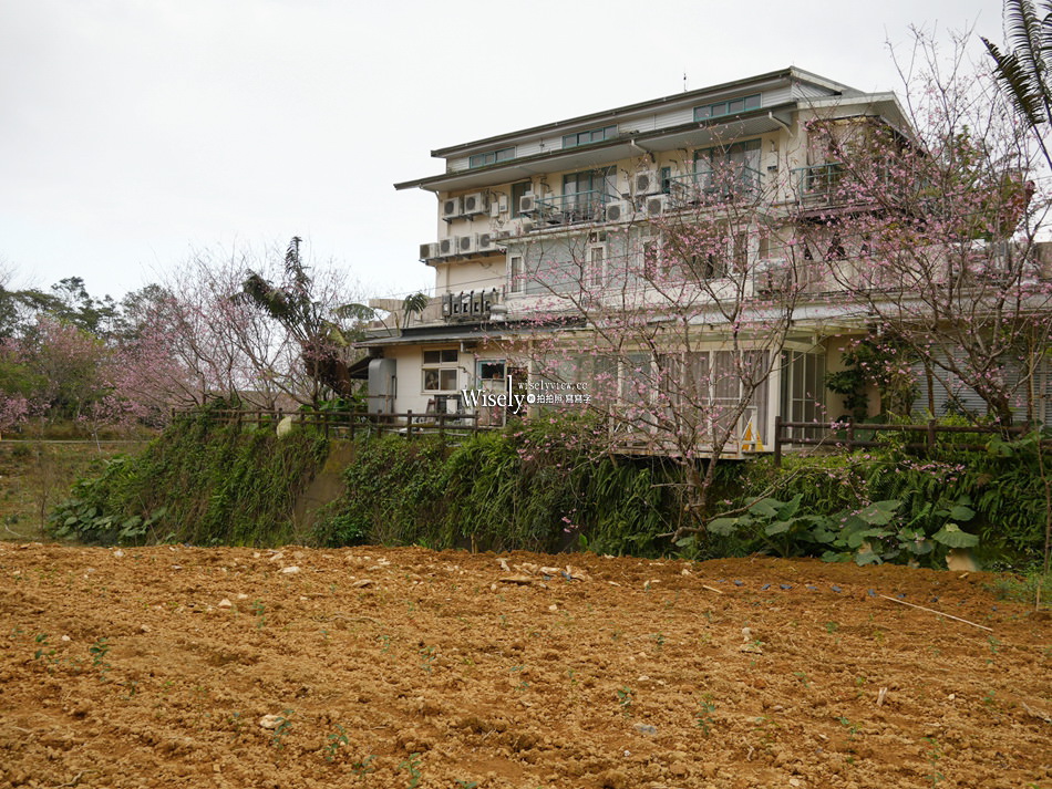 櫻悅景觀渡假別墅︱宜蘭民宿賞櫻景點，大同鄉玉蘭茶園旁櫻花隧道