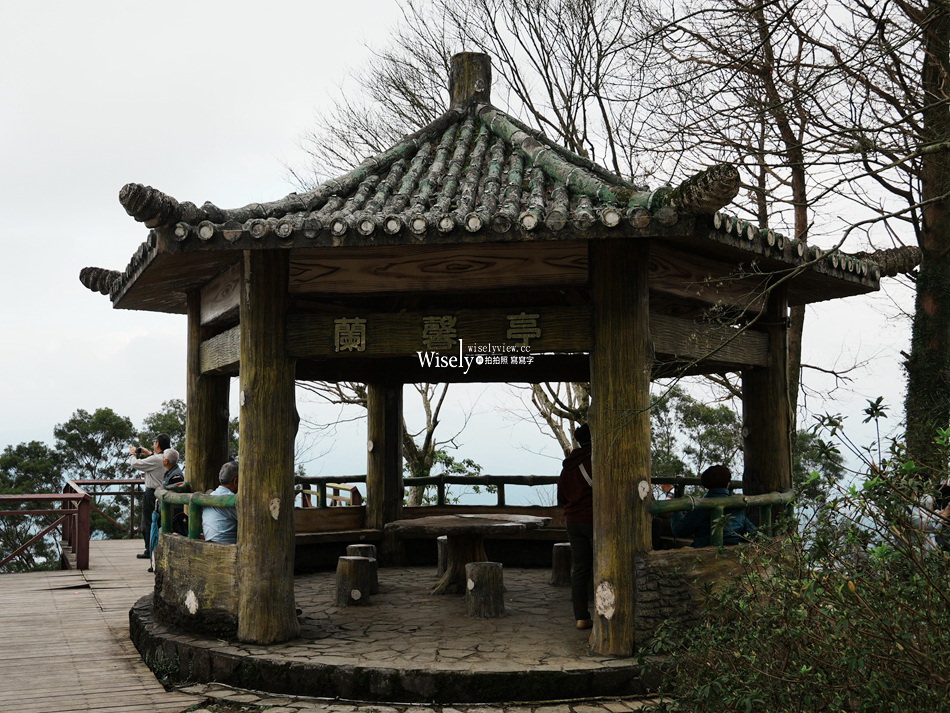 櫻悅景觀渡假別墅︱宜蘭民宿賞櫻景點，大同鄉玉蘭茶園旁櫻花隧道