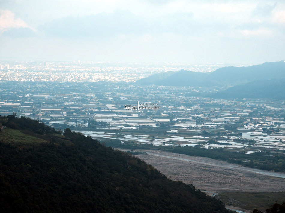 櫻悅景觀渡假別墅︱宜蘭民宿賞櫻景點，大同鄉玉蘭茶園旁櫻花隧道