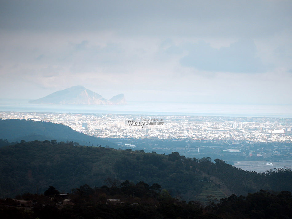 櫻悅景觀渡假別墅︱宜蘭民宿賞櫻景點，大同鄉玉蘭茶園旁櫻花隧道