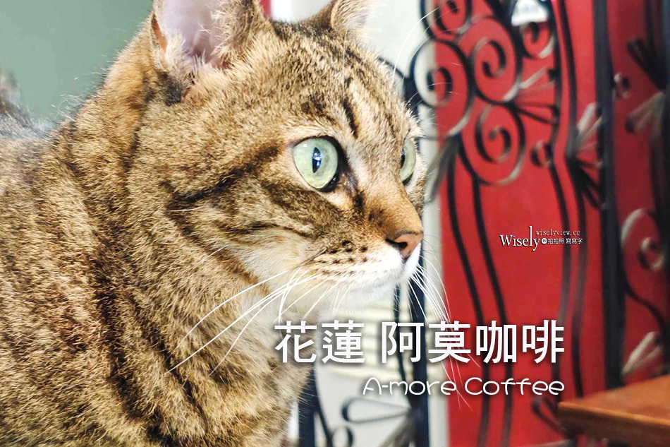 阿莫咖啡 A-more coffee︱花蓮市自家烘豆貓咖啡，近車站平價輕鬆 @WISELY&#039;s 拍拍照寫寫字