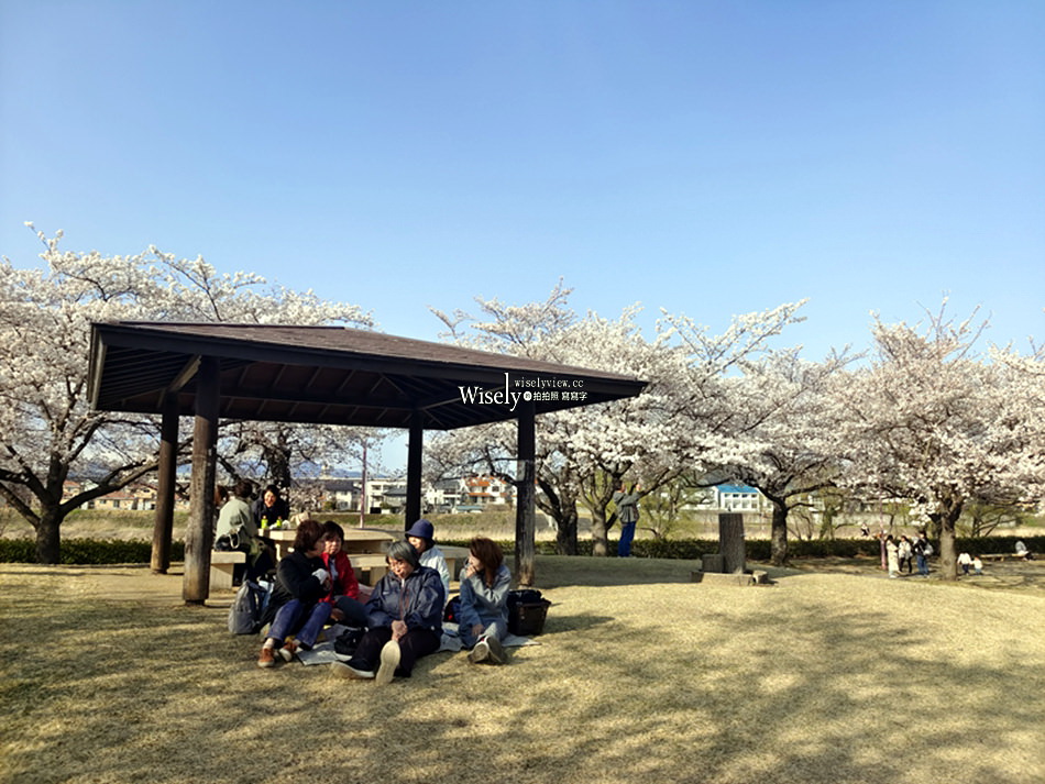 日本福島市景點︱四季之里、荒川桜づつみ公園前荒川河川敷