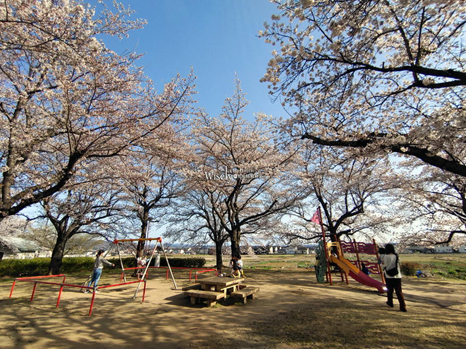 日本福島市景點︱四季之里、荒川桜づつみ公園前荒川河川敷