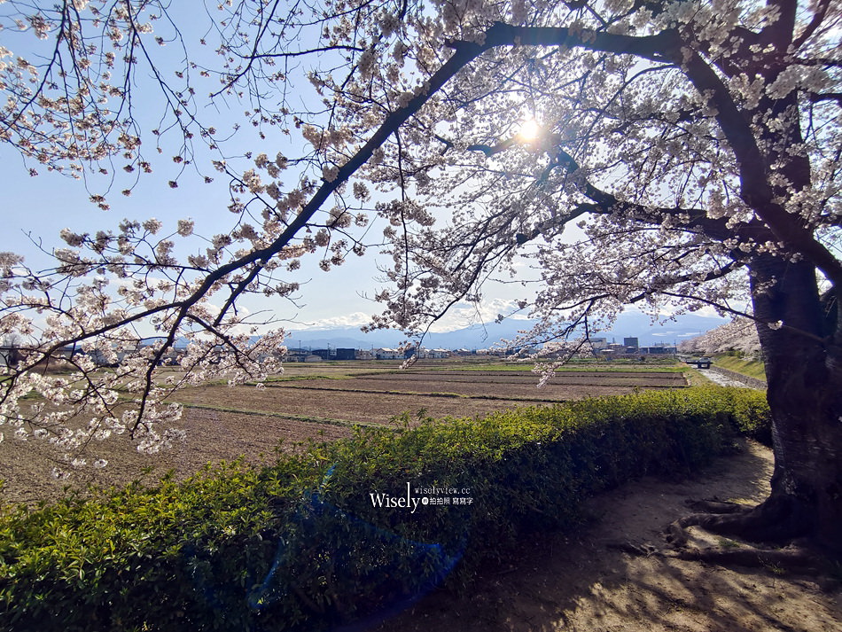 日本福島市景點︱四季之里、荒川桜づつみ公園前荒川河川敷