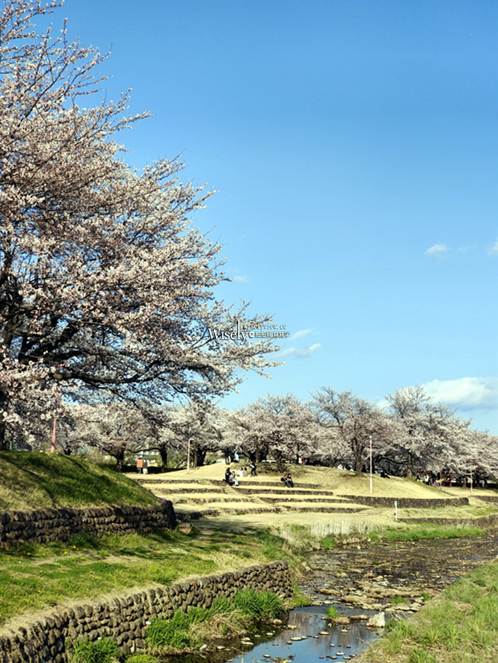 日本福島市景點︱四季之里、荒川桜づつみ公園前荒川河川敷