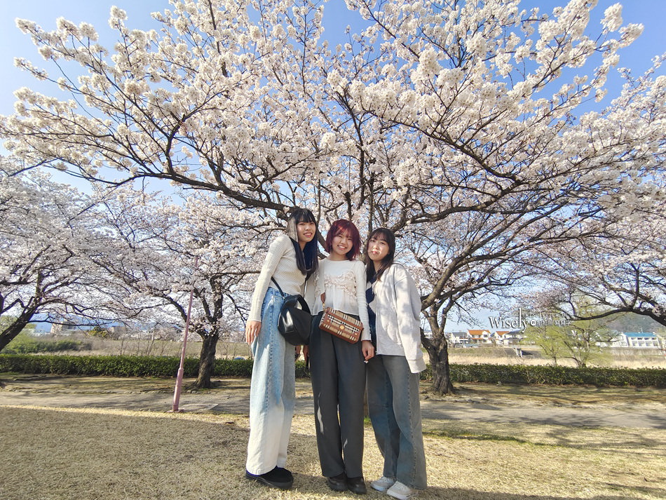 日本福島市景點︱四季之里、荒川桜づつみ公園前荒川河川敷