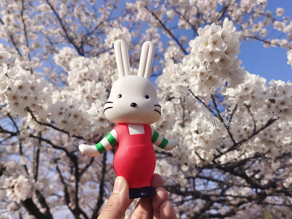 日本福島市景點︱四季之里、荒川桜づつみ公園前荒川河川敷