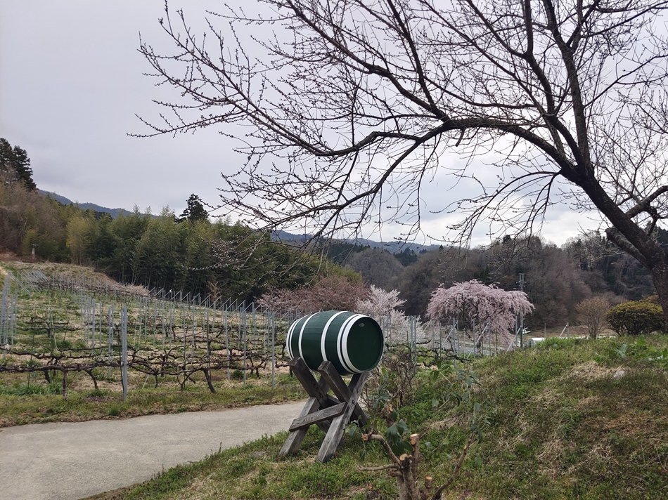 二本松名產︱福島農民手作葡萄酒︱ふくしま農家の夢ワイン