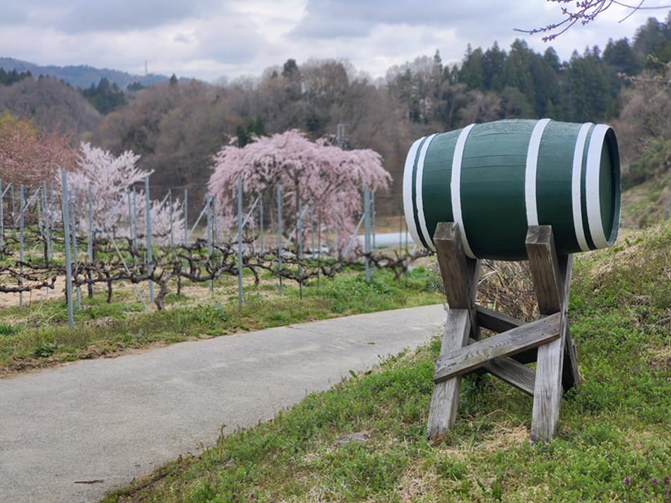 二本松名產︱福島農民手作葡萄酒︱ふくしま農家の夢ワイン