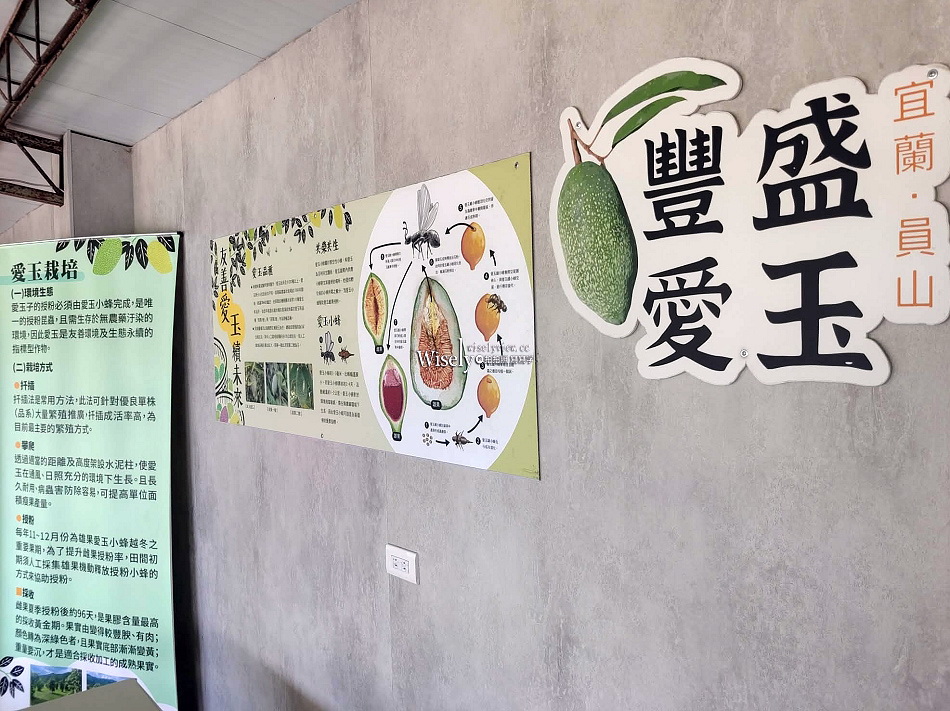 豐盛愛玉︱台灣最大愛玉園︱手作體驗免費品嚐︱員山觀光工廠︱宜蘭景點
