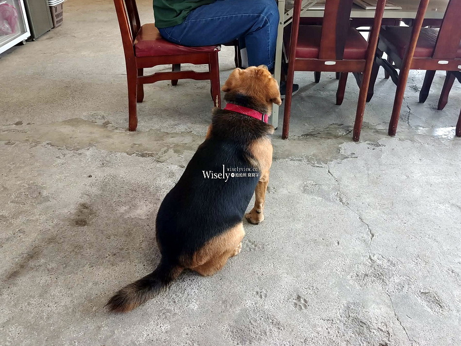 豐盛愛玉︱台灣最大愛玉園︱手作體驗免費品嚐︱員山觀光工廠︱宜蘭景點