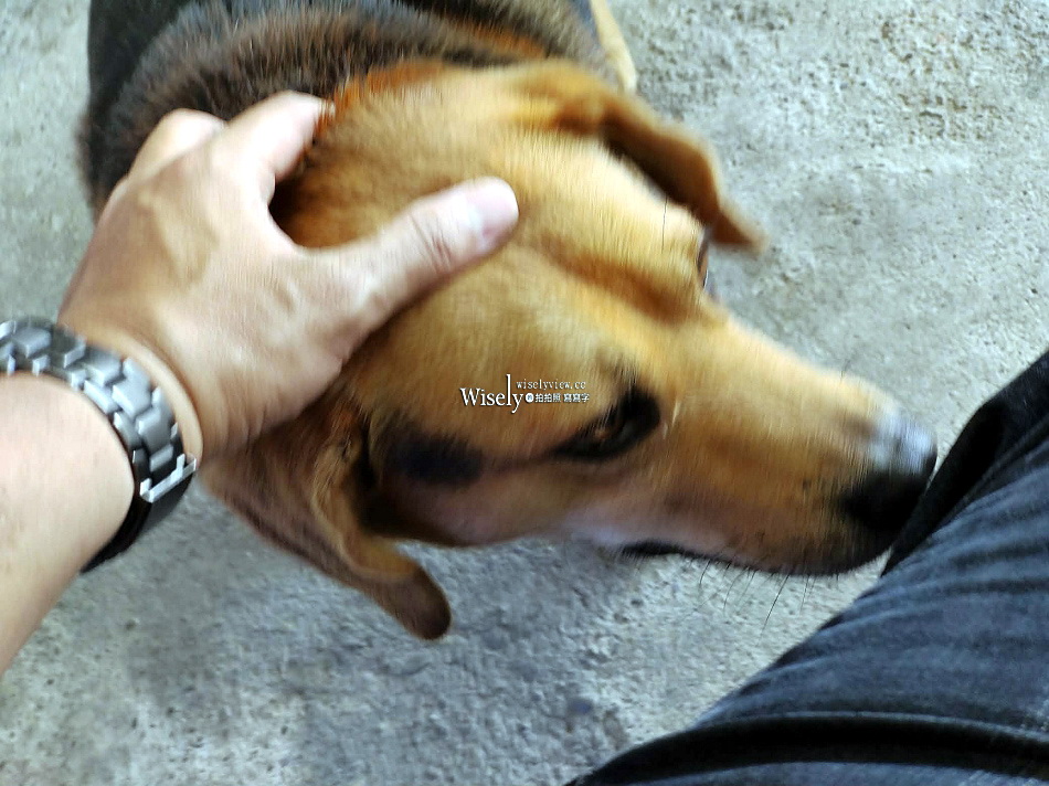 豐盛愛玉︱台灣最大愛玉園︱手作體驗免費品嚐︱員山觀光工廠︱宜蘭景點