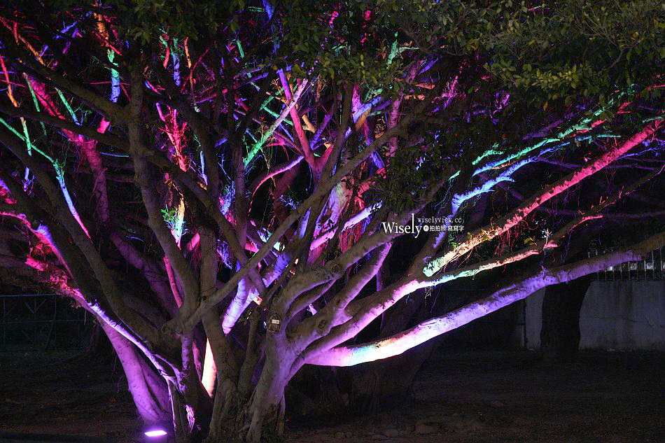 2026台北燈節︱花博展區︱西門展區︱交通管制︱小提燈發放︱2/25-3/15 2026台北燈節︱花博展區︱西門展區︱交通管制︱小提燈發放︱2/25-3/15